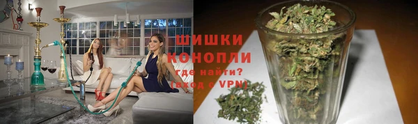 мяу мяу мука Бородино